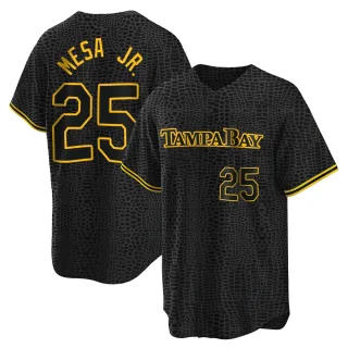 Men's Replica Black Victor Mesa Jr. Tampa Bay Rays Snake Skin City Jersey