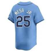 Youth Limited Light Blue Victor Mesa Jr. Tampa Bay Rays Alternate Jersey