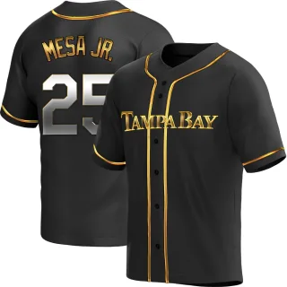 Youth Replica Black Golden Victor Mesa Jr. Tampa Bay Rays Alternate Jersey