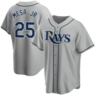 Youth Replica Gray Victor Mesa Jr. Tampa Bay Rays Road Jersey